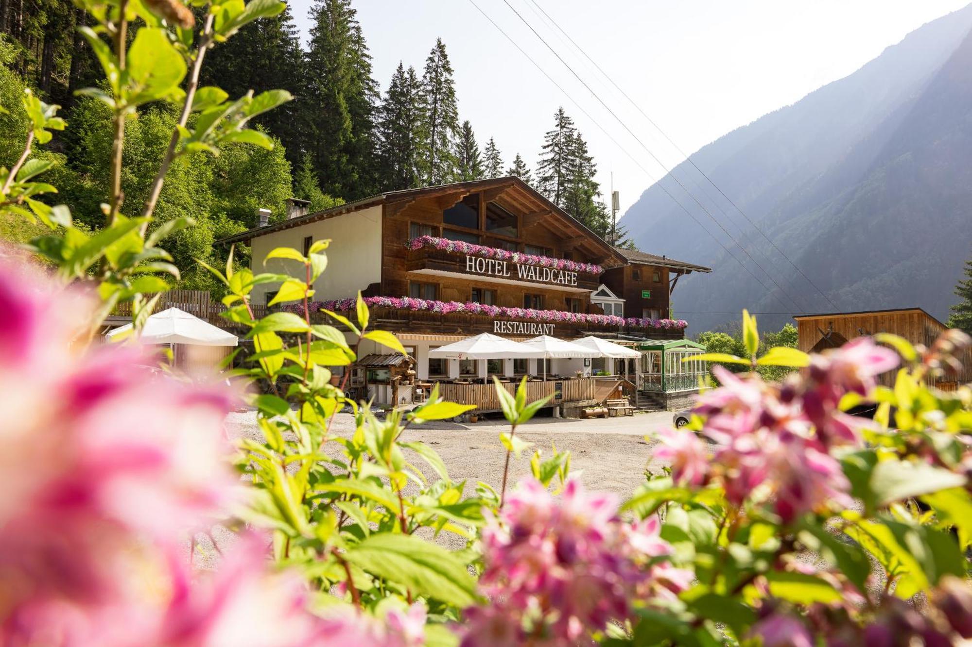 Hotel Waldcafe Нойштифт-им-Штубайталь Экстерьер фото